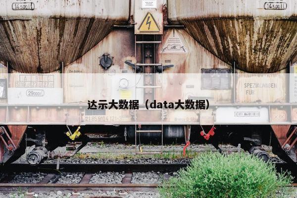 达示大数据（data大数据）