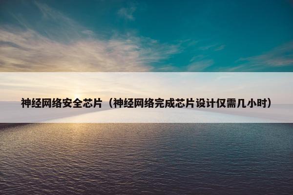 神经网络安全芯片（神经网络完成芯片设计仅需几小时）