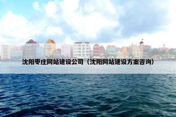 沈阳枣庄网站建设公司（沈阳网站建设方案咨询）