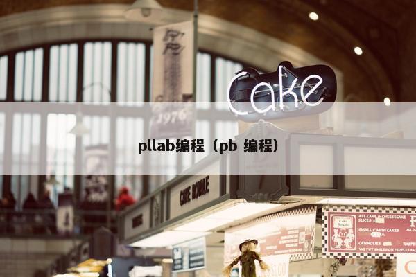 pllab编程（pb 编程）