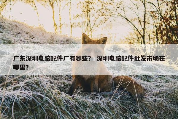 广东深圳电脑配件厂有哪些？ 深圳电脑配件批发市场在哪里？