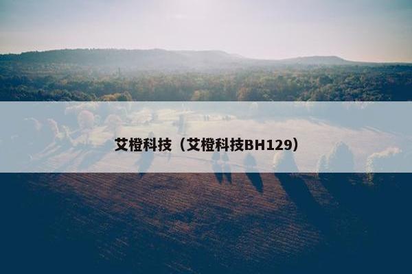 艾橙科技（艾橙科技BH129）
