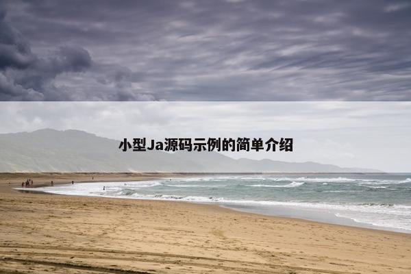 小型Ja源码示例的简单介绍