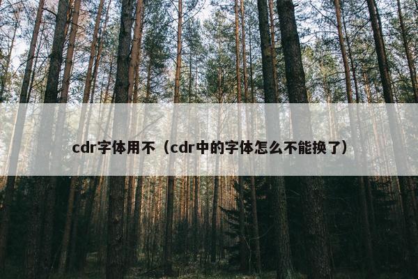 cdr字体用不（cdr中的字体怎么不能换了）