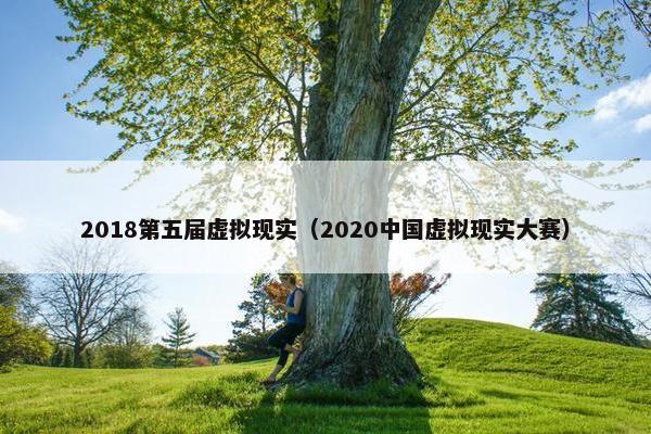 2018第五届虚拟现实（2020中国虚拟现实大赛）