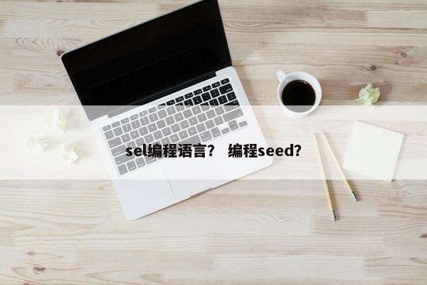 sel编程语言？ 编程seed？