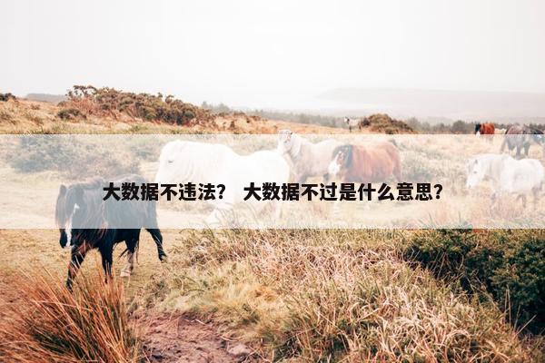 大数据不违法？ 大数据不过是什么意思？
