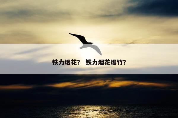 铁力烟花？ 铁力烟花爆竹？