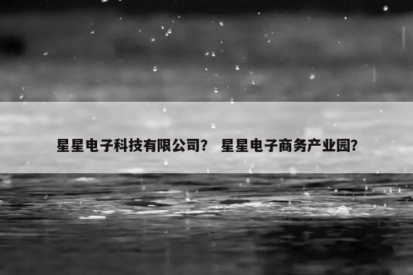 星星电子科技有限公司? 星星电子商务产业园? 星星电子科技有限公司? 星星电子商务产业园?