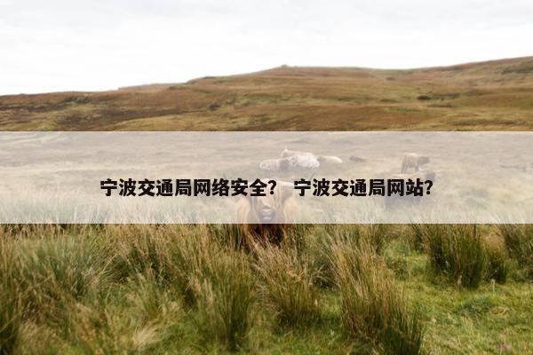 宁波交通局网络安全？ 宁波交通局网站？