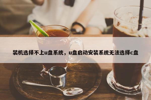 装机选择不上u盘系统，u盘启动安装系统无法选择c盘
