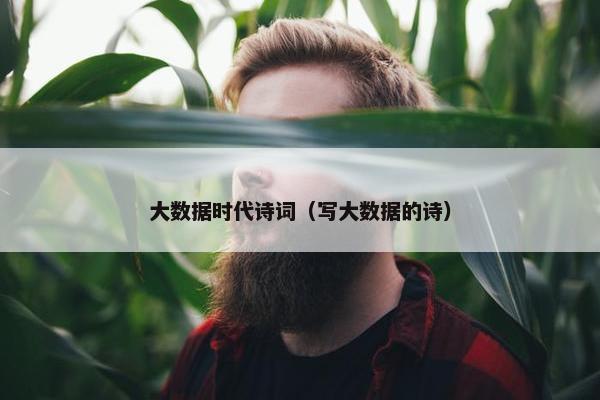 大数据时代诗词（写大数据的诗）