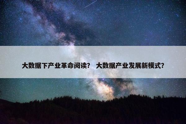 大数据下产业革命阅读？ 大数据产业发展新模式？