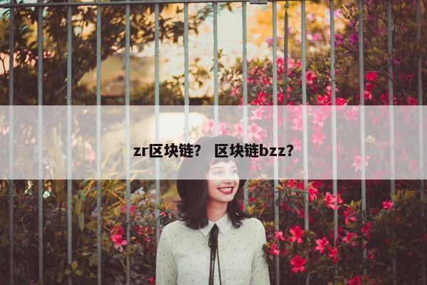 zr区块链？ 区块链bzz？