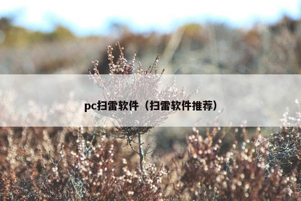 pc扫雷软件（扫雷软件推荐）