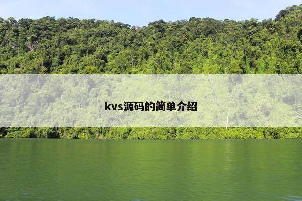 kvs源码的简单介绍