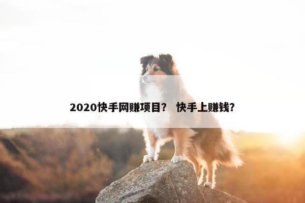 2020快手网赚项目？ 快手上赚钱？