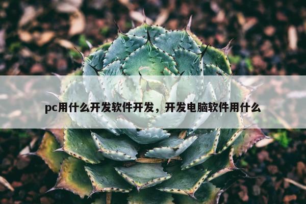 pc用什么开发软件开发，开发电脑软件用什么