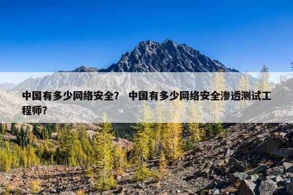 中国有多少网络安全？ 中国有多少网络安全渗透测试工程师？