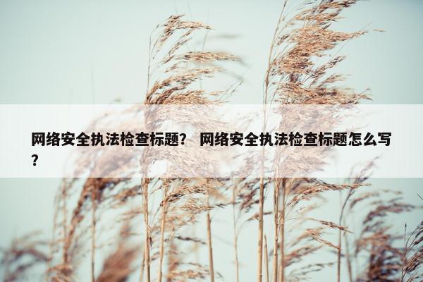 网络安全执法检查标题？ 网络安全执法检查标题怎么写？