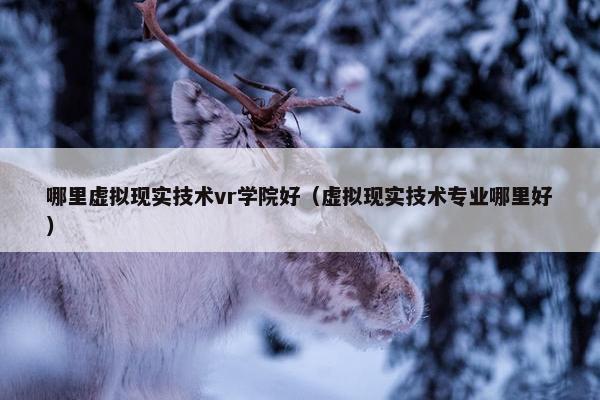 哪里虚拟现实技术vr学院好（虚拟现实技术专业哪里好）