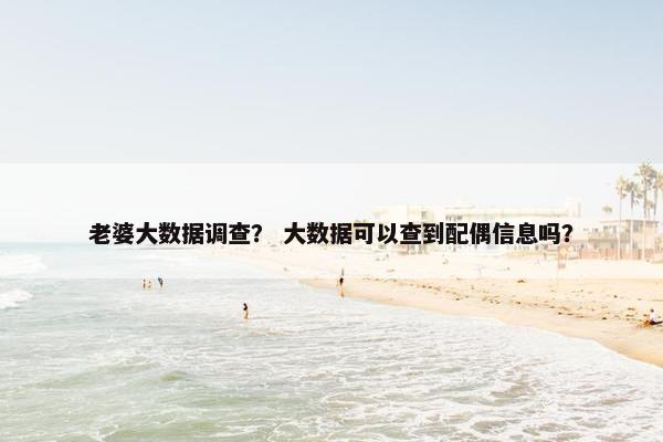 老婆大数据调查？ 大数据可以查到配偶信息吗？