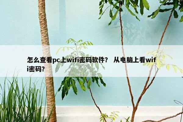 怎么查看pc上wifi密码软件？ 从电脑上看wifi密码？