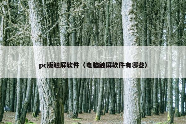 pc版触屏软件（电脑触屏软件有哪些）