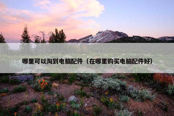 哪里可以淘到电脑配件（在哪里购买电脑配件好）