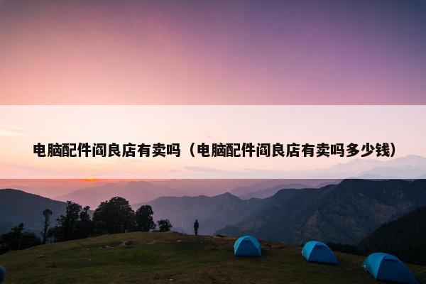 电脑配件阎良店有卖吗（电脑配件阎良店有卖吗多少钱）