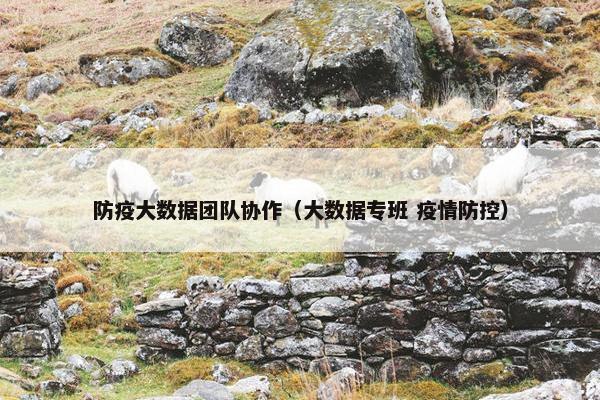 防疫大数据团队协作（大数据专班 疫情防控）