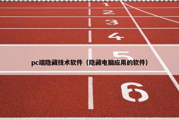 pc端隐藏技术软件（隐藏电脑应用的软件）