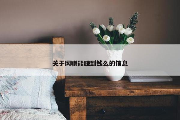 关于网赚能赚到钱么的信息