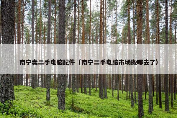南宁卖二手电脑配件（南宁二手电脑市场搬哪去了）