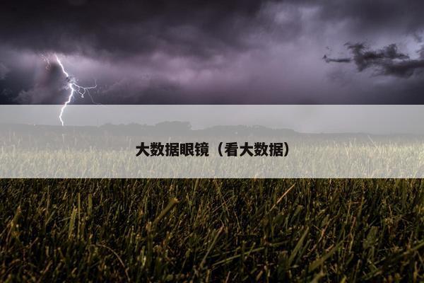 大数据眼镜（看大数据）