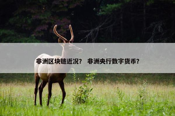 非洲区块链近况？ 非洲央行数字货币？