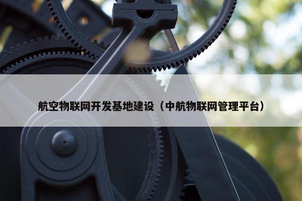 航空物联网开发基地建设（中航物联网管理平台）