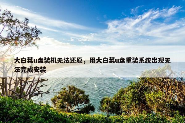 大白菜u盘装机无法还原，用大白菜u盘重装系统出现无法完成安装