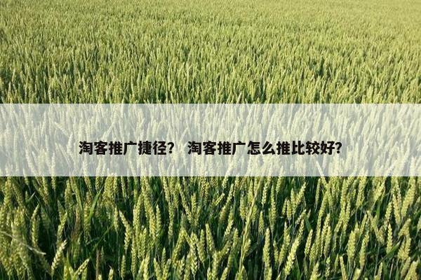 淘客推广捷径？ 淘客推广怎么推比较好？