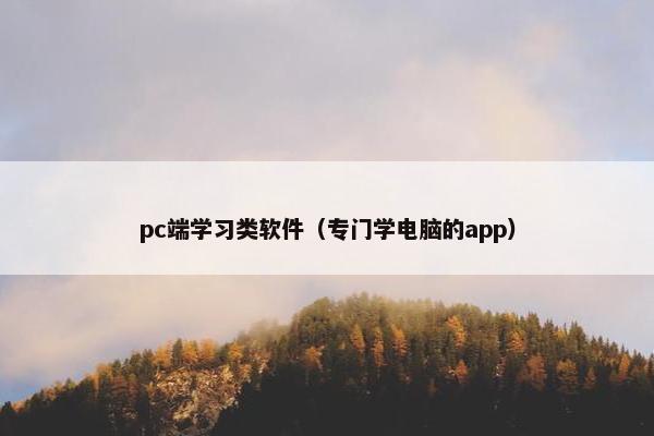 pc端学习类软件（专门学电脑的app）