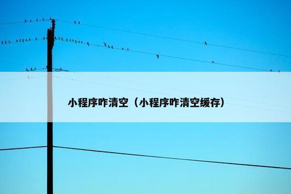 小程序咋清空（小程序咋清空缓存）