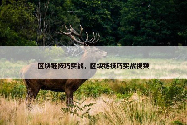 区块链技巧实战，区块链技巧实战视频