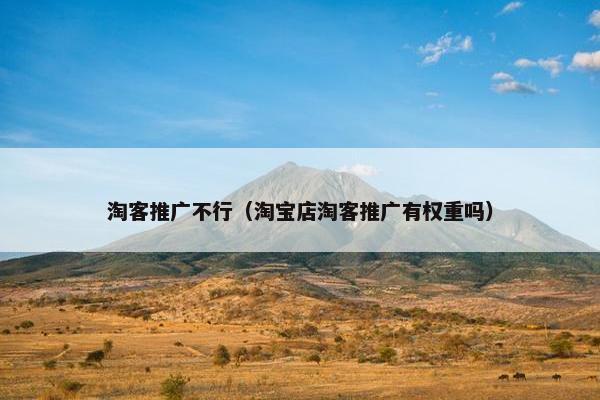 淘客推广不行（淘宝店淘客推广有权重吗）