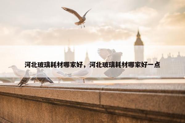 河北玻璃耗材哪家好，河北玻璃耗材哪家好一点