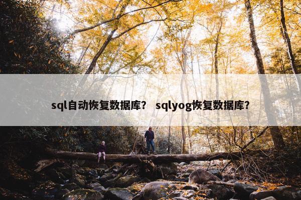 sql自动恢复数据库？ sqlyog恢复数据库？