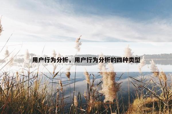 用户行为分析，用户行为分析的四种类型