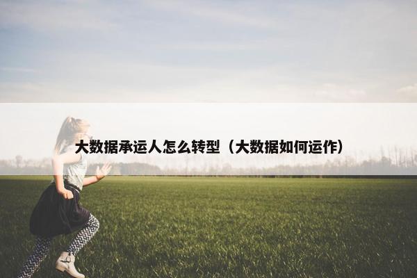 大数据承运人怎么转型（大数据如何运作）