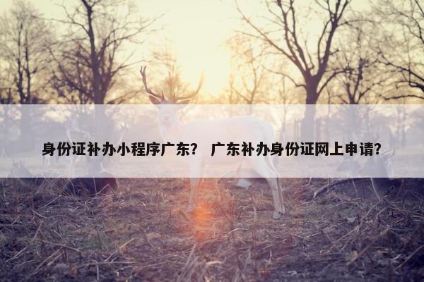 身份证补办小程序广东？ 广东补办身份证网上申请？