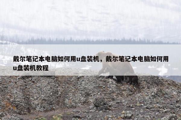 戴尔笔记本电脑如何用u盘装机，戴尔笔记本电脑如何用u盘装机教程