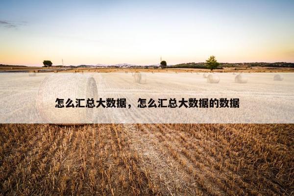 怎么汇总大数据，怎么汇总大数据的数据